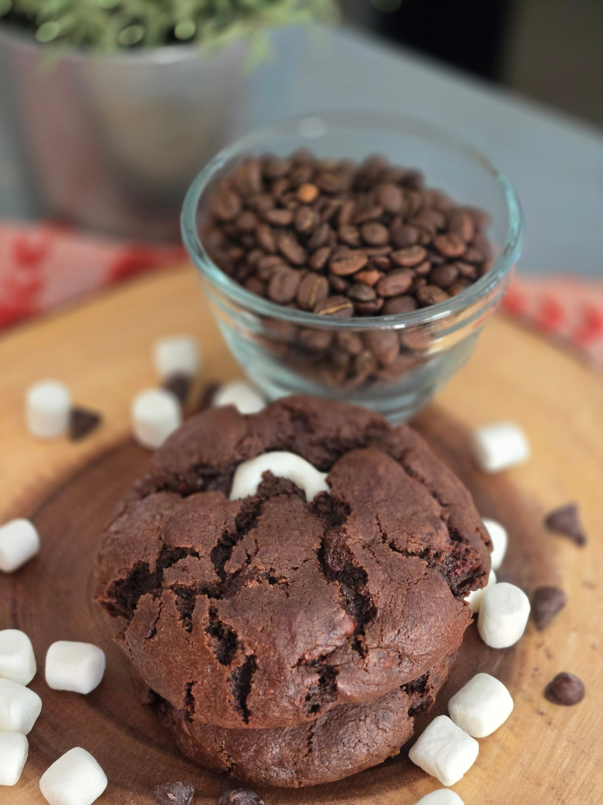 Cocoa S'more Cookie (6-pack)
