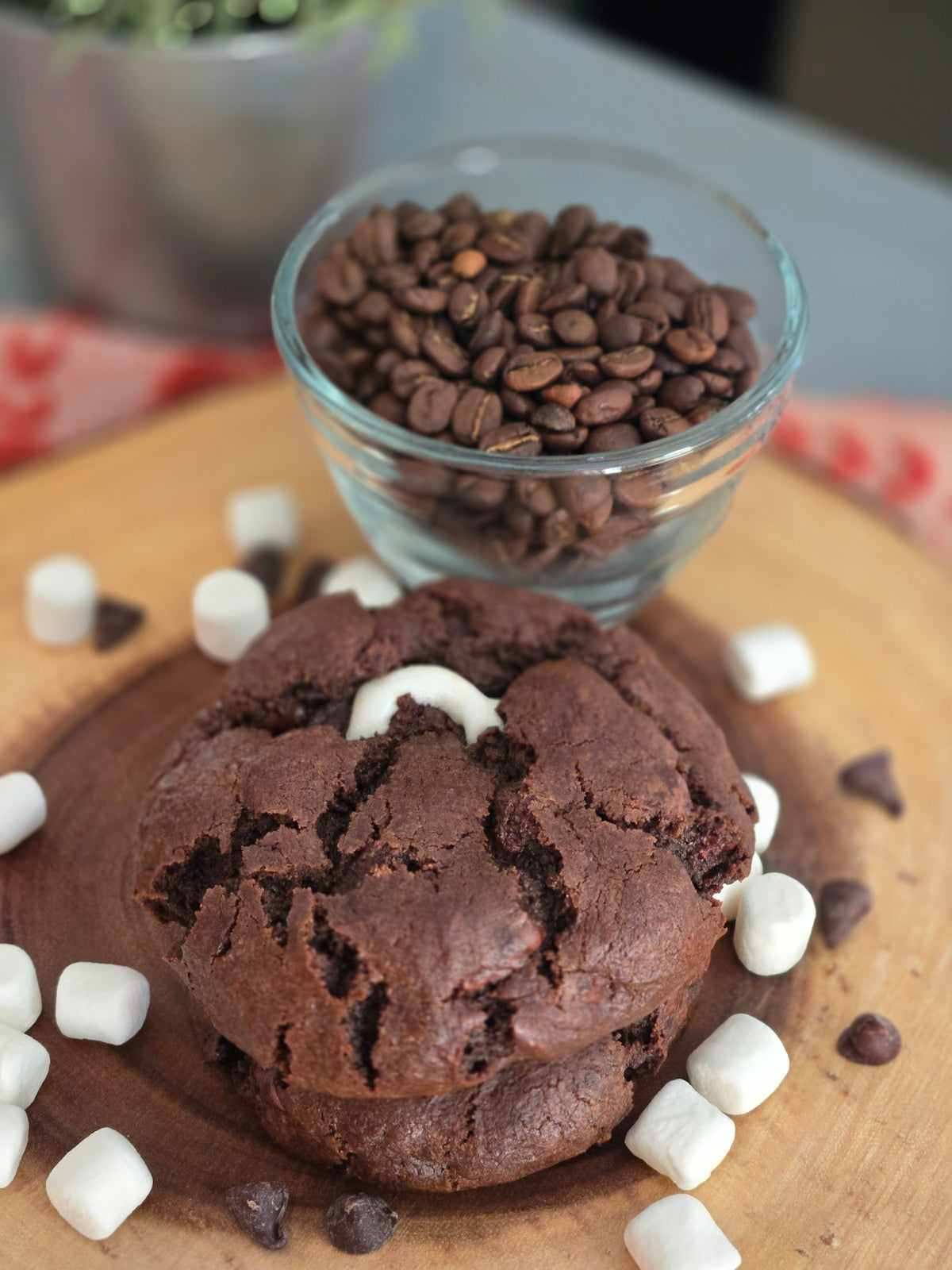 Cocoa S'more Cookie (12-pack)